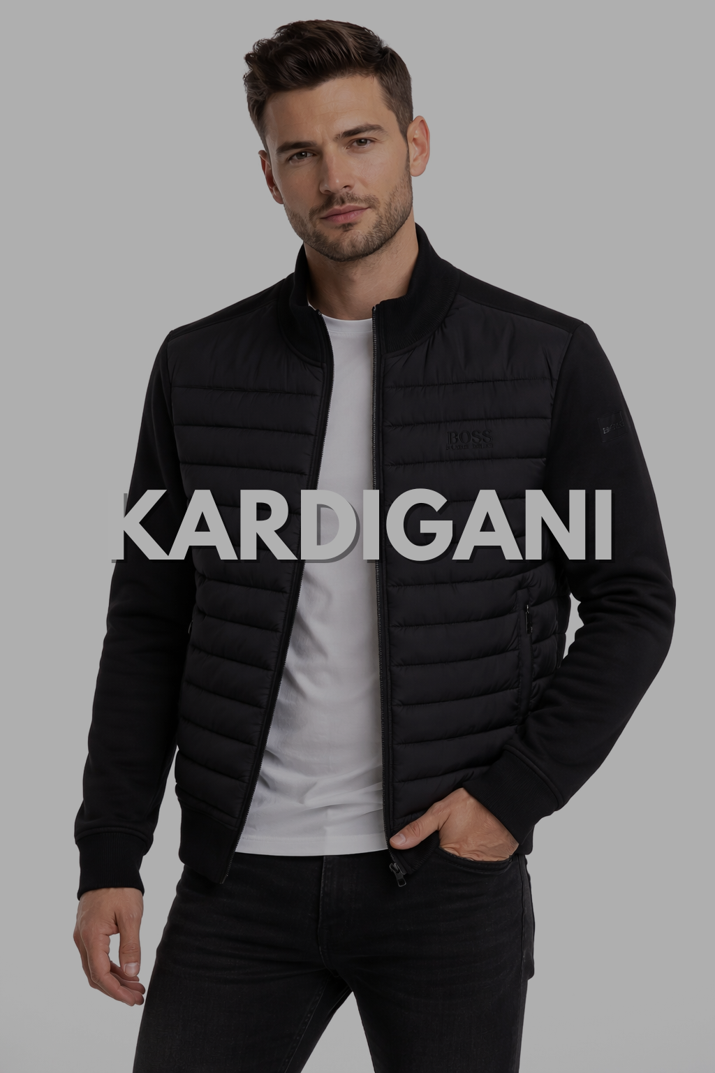 Kardigani